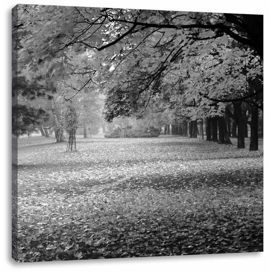 Leinwandbild Schöner Park im Herbst