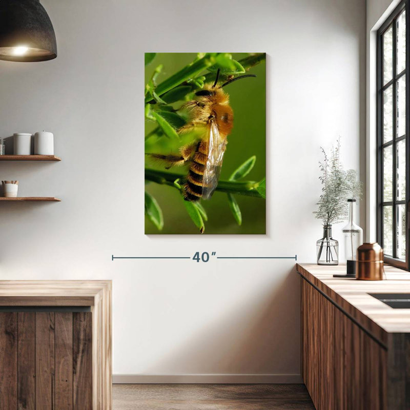 Brampt Bee Bee Bee, H 39 po x l 26 po