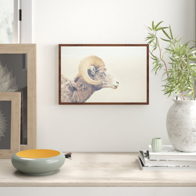 Parvez Taj - Single Picture Frame Print