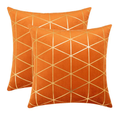 Coussin décoratif en velours