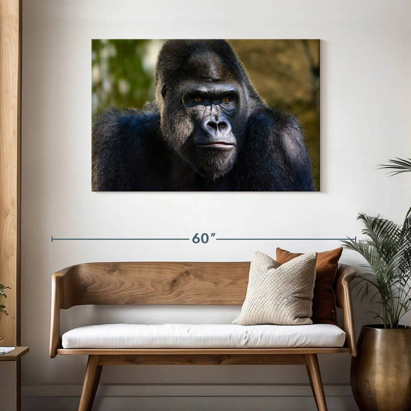 Mountain Gorilla, 30" H x 45" W