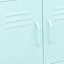 Storage Cabinet Freestanding File Cabinet with Shelves for Office Steel-1048879505