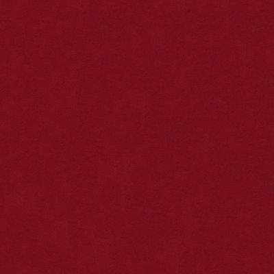 Abbeyshea Melanie Velvet Fabric By The Yard