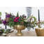 Compote Handmade Metal Table Vase-468179383-468179382