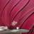 Velvet Crimson Cascade-161002820