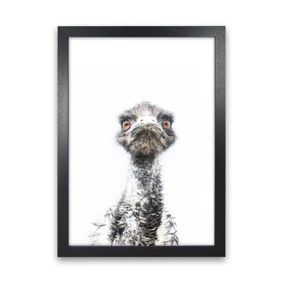 E.M.U by Victoria Frost - Print