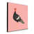 Rose est en rupture de stock