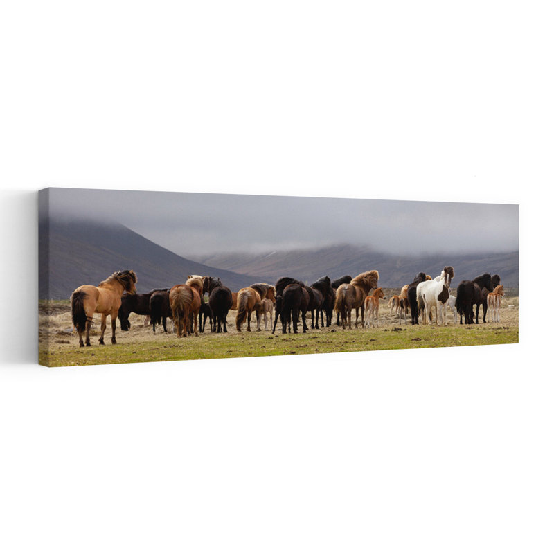 Wild Horses Mountain Field by Torsteinn H. Ingibergsson - Wrapped Canvas Panoramic Print, 30.48 cm H x 91.44 cm W