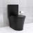 Matte Black Elongated Toilet, 1.1/1.6 Dual Flush, Powerful Flushing For Use Porcelain, Comfort Design-125560729