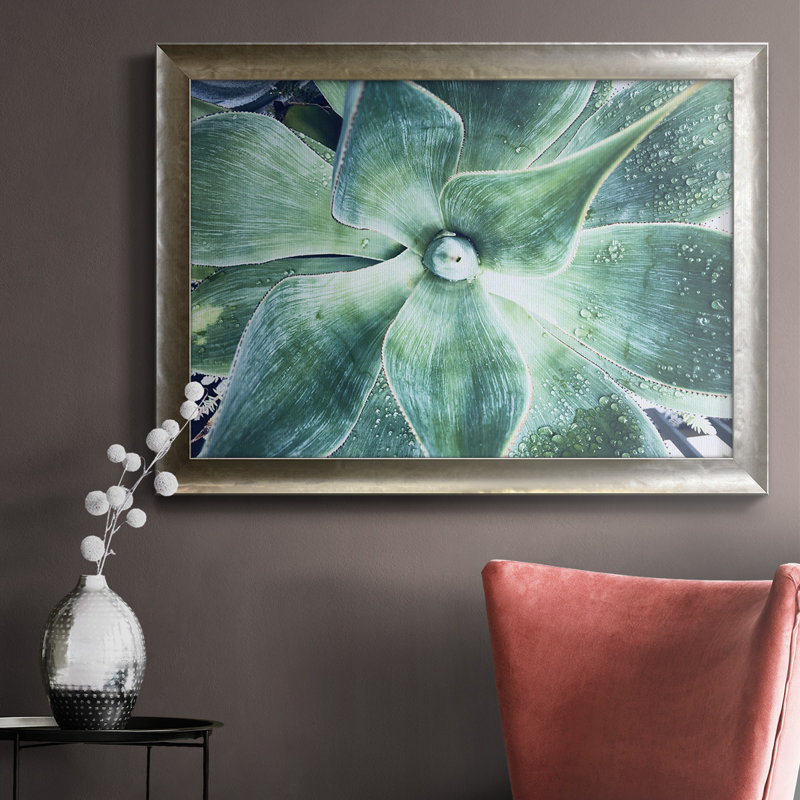 «Green Tropical Succulent VII», reproduction d'art sur toile, H 16 po x l 20 po x P 2,5 po