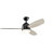 Vassar 52'' Ceiling Fan with LED Lights