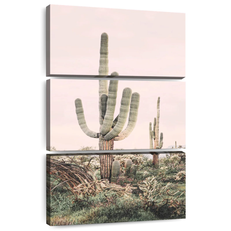 Harnek rosé cactus timide, H 38 po x l 24 po