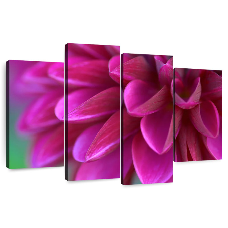 Chrysanthème rose frais Harnek, H 54 po x l 84 po