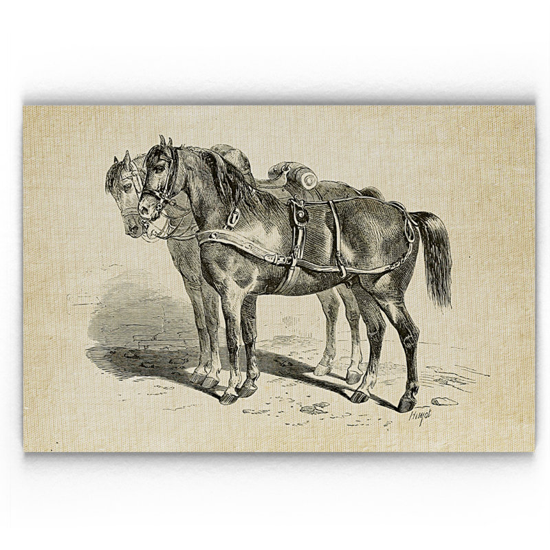 « équin plate i », reproduction, H 32 po x l 48 po x P 1,5 po, Pas de tapis, Toile tendue