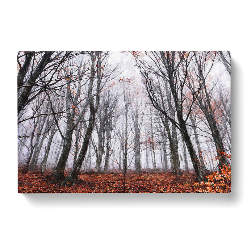 Never Ending Forest in Italy - Wrapped Canvas, 35cm H x 50cm W x 3cm D