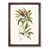 Walnut Framed selected