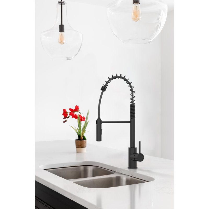 Olympia Faucets I2V Pull Down Kitchen Faucet, Matte Black