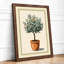 Potted Olive Tree Botanical - Framed Print-188415468-188415469