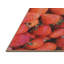 Tapis rouge clôturer les fraises-50262349