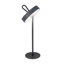 Brona Adjustable Metal Standard Table Lamp Lamp-457641903