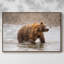 Photographie, photographie, "Shake It Off", reproduction d'art sur toile-94356361-94356362