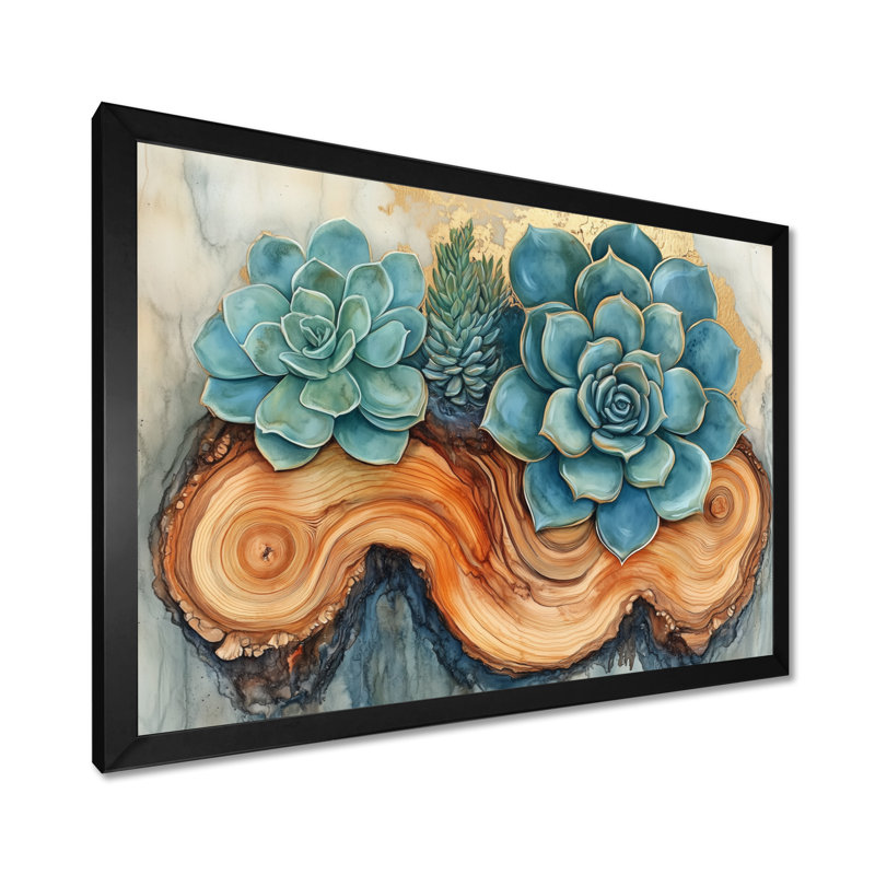 Succulentes sereines II - Affiche encadrée Agave, H 30 po x l 40 po, Cadre photo noir