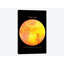 «The Sun» par Terry Fan - Reproduction de giclée sur toile tendue-29436685-73578164-73578159