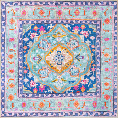 Sonja Chenille Oriental Indoor Rug