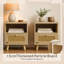 Allisson Wicker/Rattan Rectangle Accent Cabinet