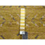 Tapis oriental jaune doré 9 pi 1 po x 12 pi 1 po, 100% laine, noué à la main, rasé et tissé dense