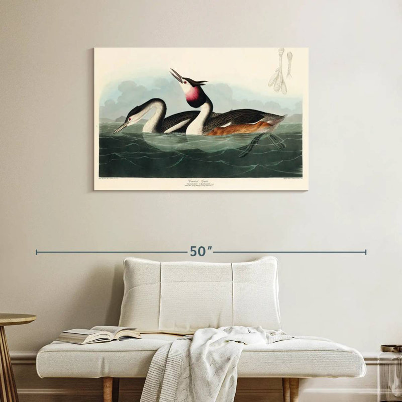 Brampt Crested Grebe, 26" H x 39" W