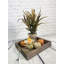 Arrangement de récolte d'automne-24487979