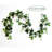 6 ft Maple Ivy Garland