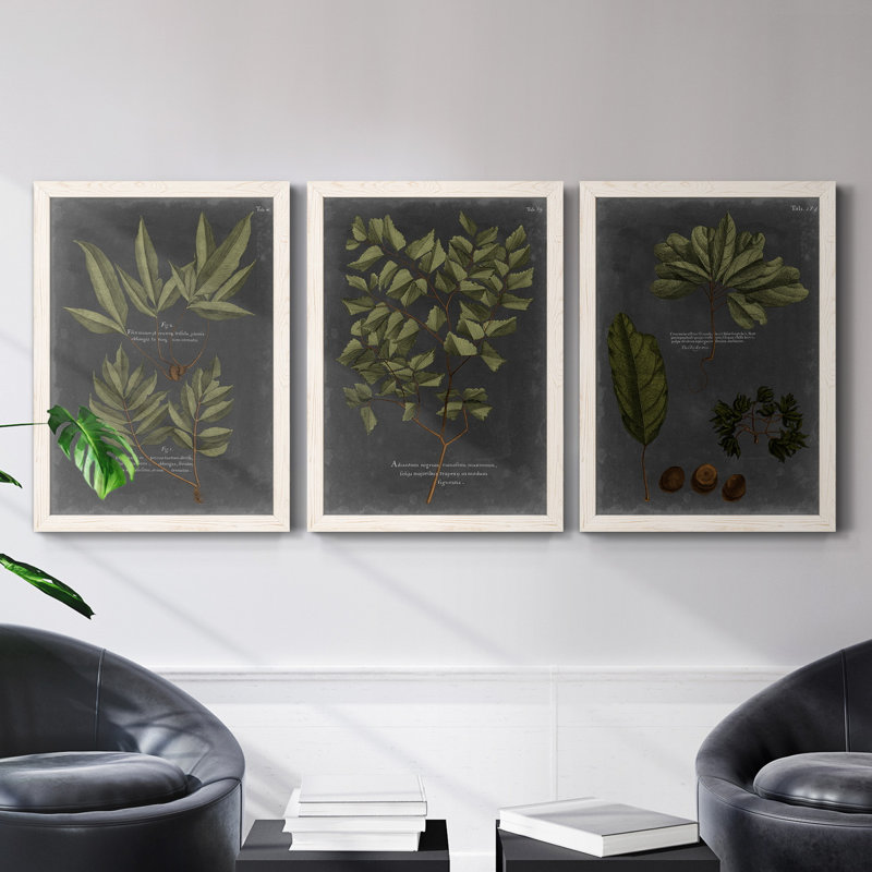 Ensoleillé horizon I - ensemble de 3 peintures sur toile encadrées, H 43,5 po x l 31,5 po x P 1 po, Blanc