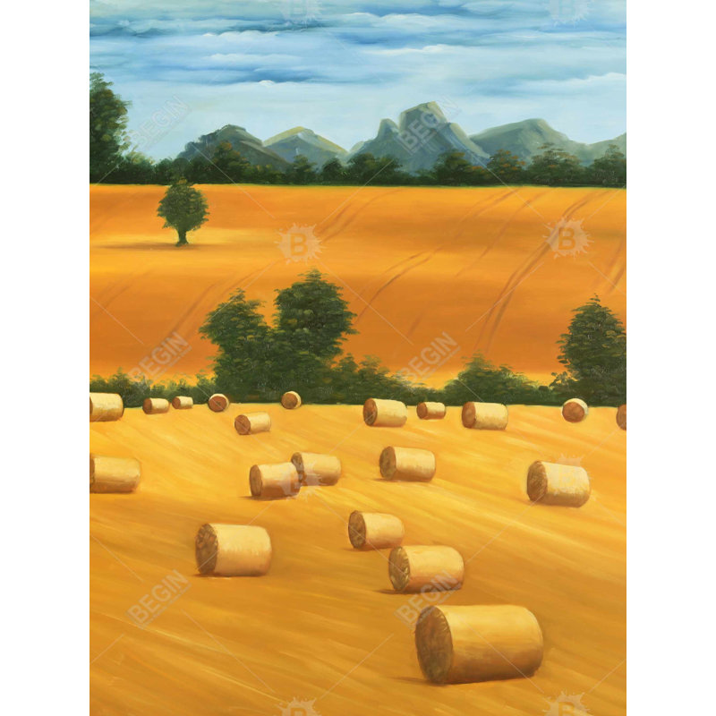 Hay Hay Bale Fields - Toile encadrée de style occidental pour la maison