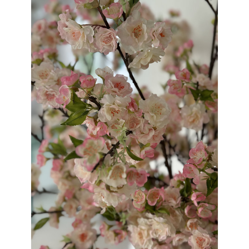 Cherry Blossoms In 16" Glass Cylinder, Pink