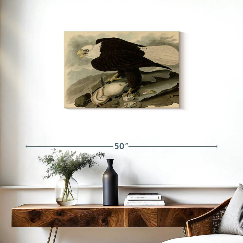 Brampt Whiteheaded Eagle, 20" H x 30" W