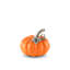 Harvest Renin Pumpkin Place Card Holder