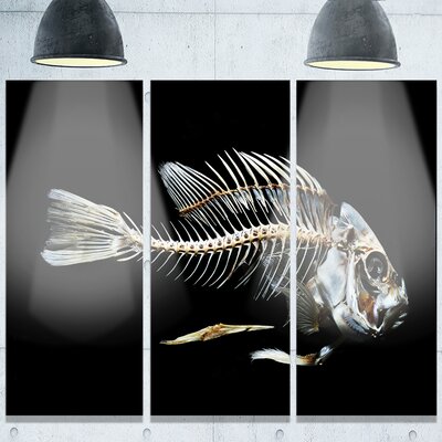 Fish Skeleton Bone on Black' 3 Piece Graphic Art on Metal Set -  Design Art, MT13163-3P