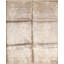 Shamas Area Rug