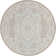 Shaundrelle Oriental Indoor Rug