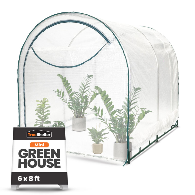 6' x 8' Clear Polyethylene Walk-In Greenhouse with Steel Frame
