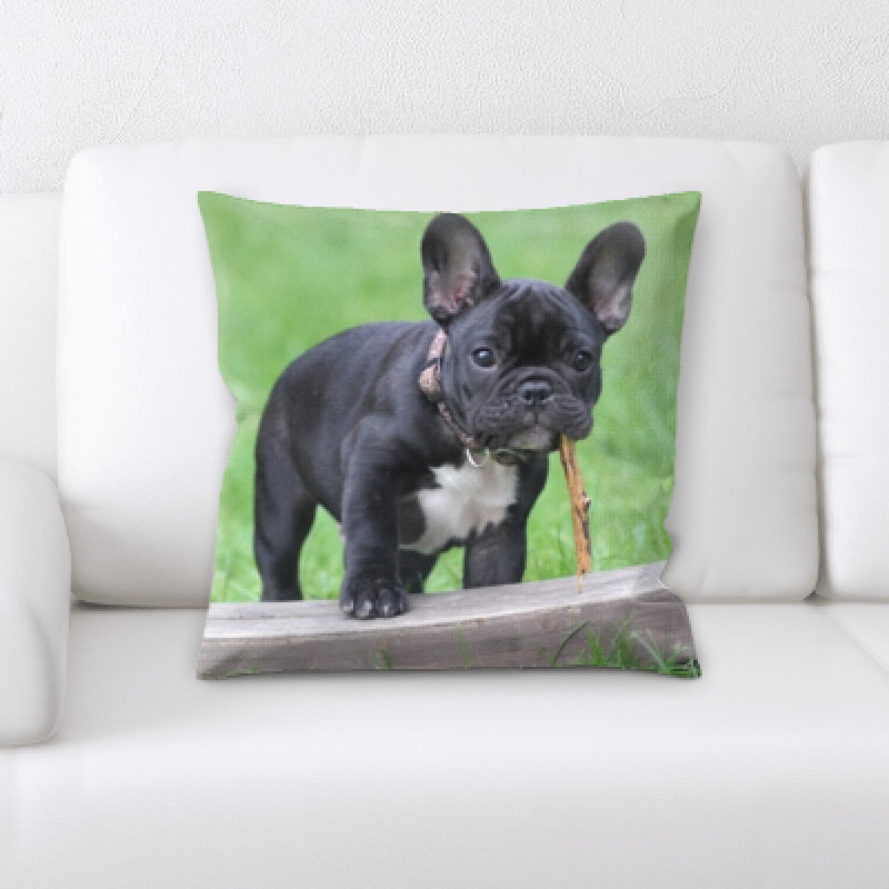 Housse et insert de coussin carré Aiden