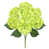 Vert sélectionné