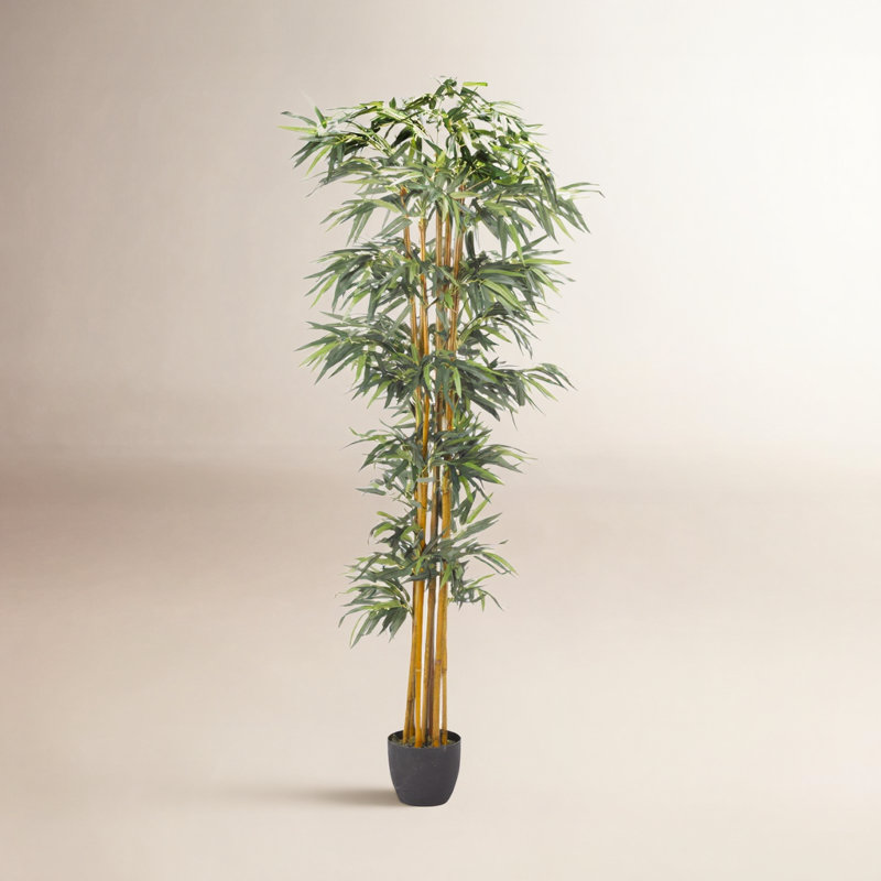 Faux Bamboo Tree in Ceramic Planter, 84" H x 20" W x 20" D