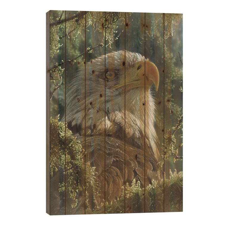 Millwood Pines Bald Eagle - High And Mighty - Vertical On Wood by ...