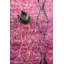 5'X8' Geometric Area Rug in Purple