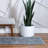 Indoor Rug-1841834515