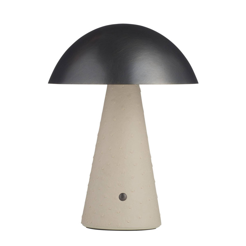 Struzzo Rechargeable Accent Lamp