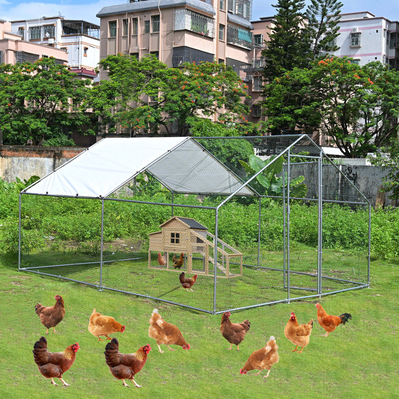 Parc à poules Dannish, H 78,74 po x l 118,11 po x P 157,48 po
